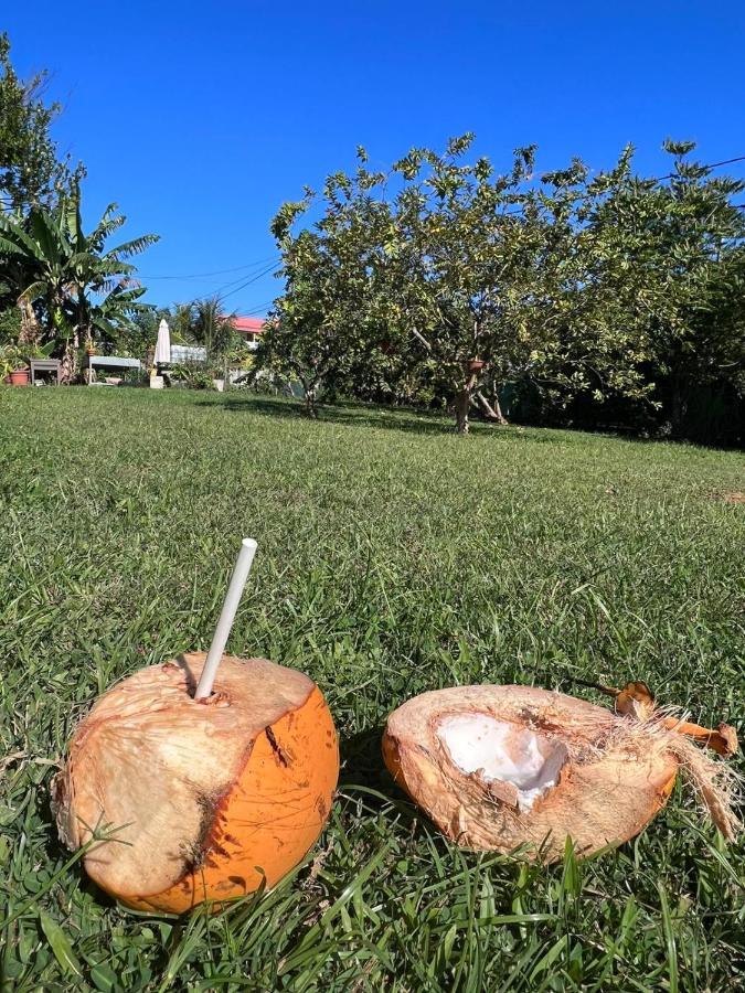 La Poz Kreyol Appartement A La Campagne Le Lamentin Exteriör bild